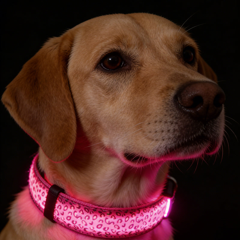 GlowPaw Leopard LED Safety Collar